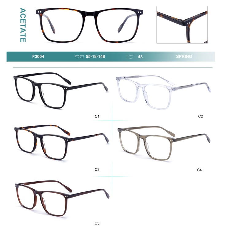 Acetate plastic frames for glasses with spring hinges Big City F3004