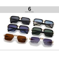 Plastic retro sunglasses for men Elit 131-EL