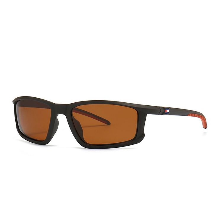 Plastic sunglasses for men Elit 2245-EL
