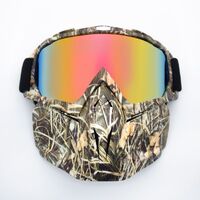 Safety shockproof sports goggles - mask 风镜-鹰嘴面罩转印