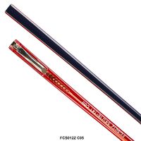 Temples (shackle) to frames plastic with flex FCS012Z (price per pair) 141mm*8mm