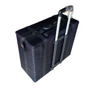 Mobile box (suitcase, trunk, organizer, display case) on wheels for frames and glasses for 225 slots JS-C230517