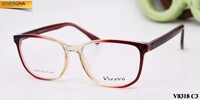Plastic frames for glasses VIZZINI V8318
