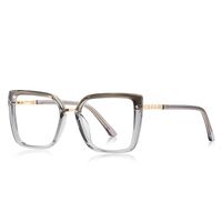 Оправа пластиковая из материала TR90 с защитой от синего света, с флексом FOCUS FCS2224