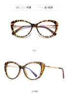 Оправа пластиковая, материал TR-90+CA (флекс!) FOCUS FCS2088