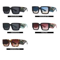 Plastic polarized sunglasses Elit 9141-EL