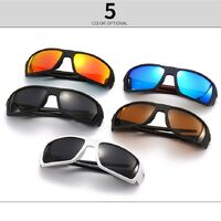 Plastic polygonal sunglasses for men Elit 2239-EL