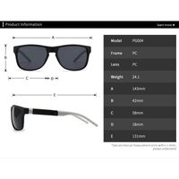 Plastic polarized men's sunglasses Elit PG004-EL