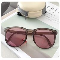 Plastic folding sunglasses KY315-2太阳镜