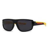 Plastic sunglasses for men Elit 2254-EL