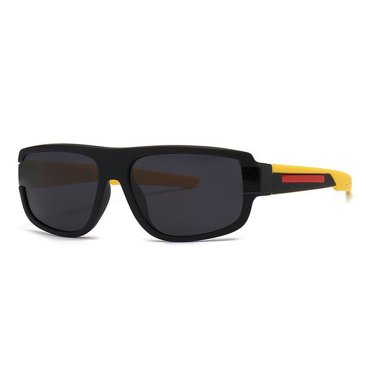 Plastic sunglasses for men Elit 2254-EL