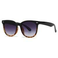 Plastic retro sunglasses with anti-blue light protection Elit 9254-EL-1