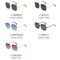 Polarized metal sunglasses with UV400 protection RB1971-GT