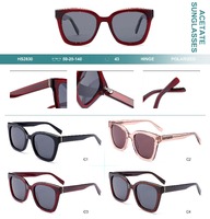 Polarized acetate plastic sunglasses Big City HS2830