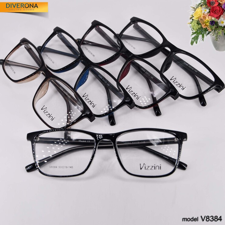 Plastic frames for glasses VIZZINI V8384