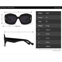 Plastic polygonal sunglasses Elit 2130-EL