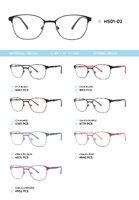 Металлическая оправа с дужками из пластика TR-90 HS01-02