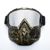 Safety shockproof sports goggles - mask 风镜-鹰嘴面罩转印