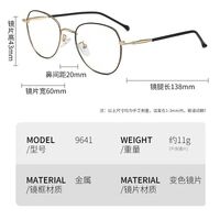 Очки металлические фотохромные с защитой от синего света 9641-GT