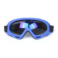 Safety shockproof sports goggles DXGS400