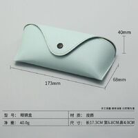 Sunglasses and eyeglasses hard shell case HD065