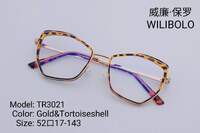Metal +TR90 ultrathin frames with flex hinges Wilibolo TR3021