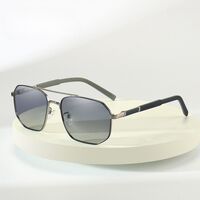 Polarized metal sunglasses with UV400 protection 2955-GT