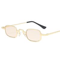 Metal sunglasses with UV400 protection 2883-GT