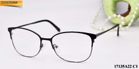 Metal frames for glasses GR17135A22