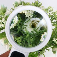 Extendable magnifier with universal backlight, magnifying glass with handle 7B-5A-XX, diameter 75 mm, magnification: 3X, 20X