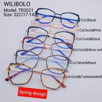 Metal +TR90 ultrathin frames with flex hinges Wilibolo TR3021