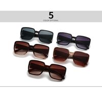 Plastic sunglasses for women Elit 9225-EL