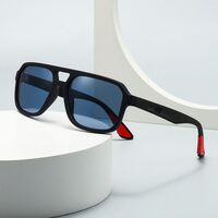 Plastic polarized men's sunglasses Elit 2433-EL