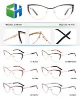 Оправа металлическая с флексом CH6101-DA