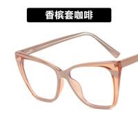 Plastic TR90 glasses with blue light protection for women TR5009-PN