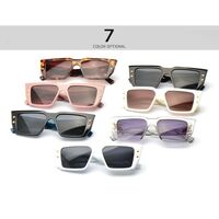 Plastic square sunglasses Elit 9146-EL