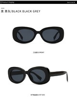 Sunglasses Elit modern retro oval 304