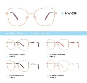 Metal women's frames for glasses MW1058