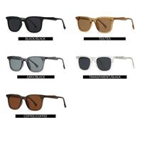 Plastic retro polarized sunglasses Elit 10042-EL