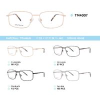 Titanium frame with spring hinges TM4007