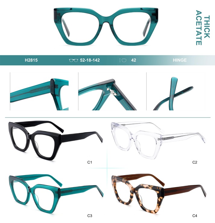 Plastic frames for glasses, thick acetate Big City H2815