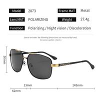 Очки металлические фотохромные с защитой от синего света 2873-GT