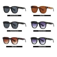 Plastic sunglasses Elit 6010-EL