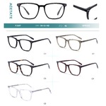 Acetate plastic frames for glasses with spring hinges Big City F3007