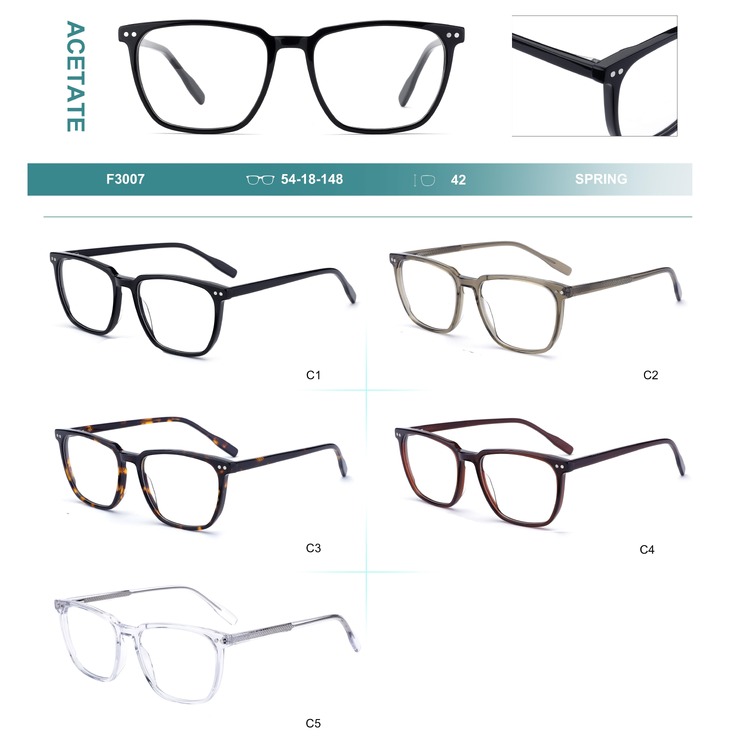 Acetate plastic frames for glasses with spring hinges Big City F3007