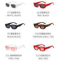 Polarized plastic sunglasses with UV400 protection 9071-GT