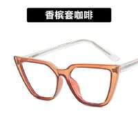 Plastic glasses with blue light protection for women 4007-5011-PN