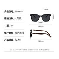 Plastic polarized sunglasses Elit ZT-10057-EL