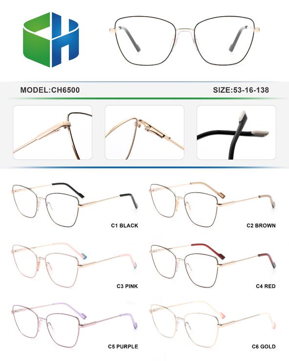 Metal frame with spring hinges CH6500-DA