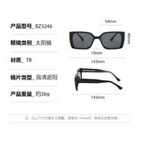 Plastic sunglasses with square frame for men Elit BZ3246-EL